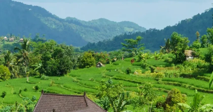 Desa Bukan Lagi Tempat Pulang, Tapi Ladang Cuan: Bagaimana Program Kemendesa Mengubah Peta Ekonomi Generasi Muda