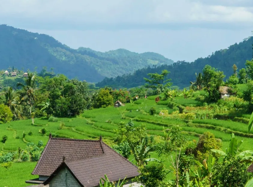 Desa Bukan Lagi Tempat Pulang, Tapi Ladang Cuan: Bagaimana Program Kemendesa Mengubah Peta Ekonomi Generasi Muda