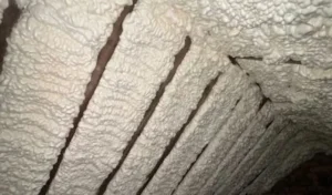 Read more about the article Bahan Polyurethane Adalah : Sifat dan Cara Kerjanya