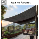 Apa Itu Paranet