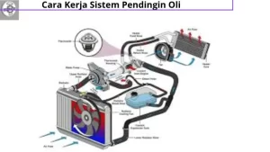Read more about the article Cara Kerja Sistem Pendingin Oli