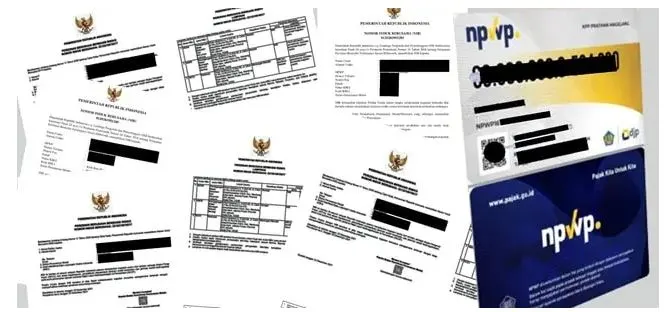 pengurusan npwp