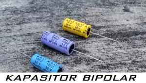 Read more about the article Fungsi Kapasitor Bipolar & Perbedaannya